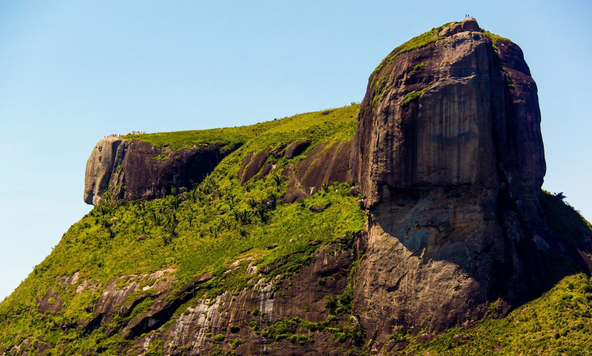 Rapel no Rosto do Imperador